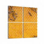 Olla 12613K4 Hayvanlar Alemi Görseli Kare 4'lü Kanvas Tablo (Ölçü: 65X65)