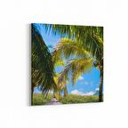 Olla 16475K Kumsal / Sahil Görseli Kare Kanvas Tablo (Ölçü: 100X100)