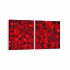 Olla 11603K2Y Çiçek Görseli Kare 2'li Yatay Kanvas Tablo (Ölçü: 65X30)