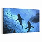 Olla 12924Y Deniz / Okyanus Görseli Yatay Kanvas Tablo (Ölçü: 45X30)