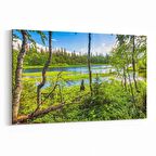 Olla 14248Y Doğa / Manzara Görseli Yatay Kanvas Tablo (Ölçü: 45X30)