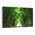 Olla 14092Y Doğa / Manzara Görseli Yatay Kanvas Tablo (Ölçü: 120X80)