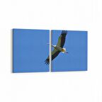 Olla 15863K2Y Gökyüzü Kuşlar Görseli Kare 2'li Yatay Kanvas Tablo (Ölçü: 65X30)