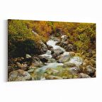 Olla 14298Y Doğa / Manzara Görseli Yatay Kanvas Tablo (Ölçü: 30X20)