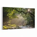 Olla 14139Y Doğa / Manzara Görseli Yatay Kanvas Tablo (Ölçü: 150X100)