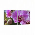 Olla 11732K2Y Orkide Çiçek Görseli 2'li Yatay Kanvas Tablo (Ölçü: 145X70)
