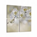 Olla 11718K4 Orkide Çiçek Görseli Kare 4'lü Kanvas Tablo (Ölçü: 145X145)