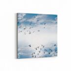 Olla 15840K Gökyüzü Kuşlar Görseli Kare Kanvas Tablo (Ölçü: 60X60)