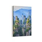 Olla 14062D Doğa / Manzara Görseli Dikey Kanvas Tablo (Ölçü: 100X150)