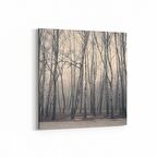 Olla 13155K Doğa / Manzara Görseli Kare Kanvas Tablo (Ölçü: 25X25)