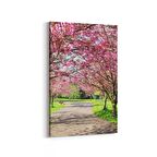 Olla 13550D Doğa / Manzara Görseli Dikey Kanvas Tablo (Ölçü: 100X150)