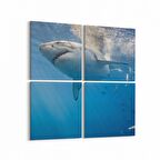 Olla 12910K4 Deniz / Okyanus Görseli Kare 4'lü Kanvas Tablo (Ölçü: 145X145)