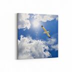 Olla 15832K Gökyüzü Kuşlar Görseli Kare Kanvas Tablo (Ölçü: 60X60)