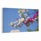 Olla 10875Y Ağaç Görseli Yatay Kanvas Tablo (Ölçü: 150X100)