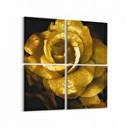 Olla 11593K4 Çiçek Görseli Kare 4'lü Kanvas Tablo (Ölçü: 105X105)