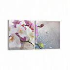 Olla 11662K2Y Orkide Çiçek Görseli 2'li Yatay Kanvas Tablo (Ölçü: 145X70)