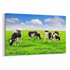 Olla 12599Y Hayvanlar Alemi Görseli Yatay Kanvas Tablo (Ölçü: 30X20)