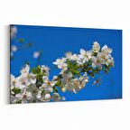 Olla 10644Y Ağaç Görseli Yatay Kanvas Tablo (Ölçü: 30X20)