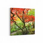 Olla 14121K Doğa / Manzara Görseli Kare Kanvas Tablo (Ölçü: 25X25)