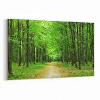 Olla 13373Y Doğa / Manzara Görseli Yatay Kanvas Tablo (Ölçü: 150X100)