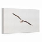 Olla 12637Y Hayvanlar Alemi Görseli Yatay Kanvas Tablo (Ölçü: 30X20)