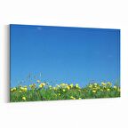 Olla 13899Y Doğa / Manzara Görseli Yatay Kanvas Tablo (Ölçü: 45X30)