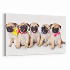 Olla 12641Y Hayvanlar Alemi Görseli Yatay Kanvas Tablo (Ölçü: 150X100)