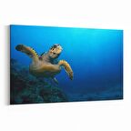 Olla 12898Y Deniz / Okyanus Görseli Yatay Kanvas Tablo (Ölçü: 150X100)