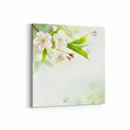 Olla 11675K Orkide Çiçek Görseli Kare Kanvas Tablo (Ölçü: 60X60)