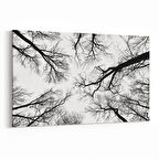 Olla 10943Y Ağaç Görseli Yatay Kanvas Tablo (Ölçü: 120X80)