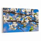 Olla 10821Y Ağaç Görseli Yatay Kanvas Tablo (Ölçü: 120X80)