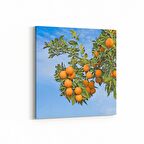 Olla 15207K Gıda Görseli Kare Kanvas Tablo (Ölçü: 25X25)