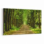 Olla 14276Y Doğa / Manzara Görseli Yatay Kanvas Tablo (Ölçü: 45X30)