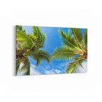 Olla 11512Y Palmiye Ağacı Görseli Yatay Kanvas Tablo (Ölçü: 150X100)