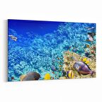 Olla 12124Y Akvaryum / Balık Görseli Yatay Kanvas Tablo (Ölçü: 30X20)
