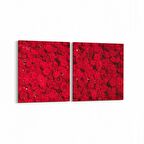 Olla 11639K2Y Çiçek Görseli Kare 2'li Yatay Kanvas Tablo (Ölçü: 85X40)