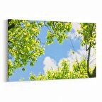 Olla 10580Y Ağaç Görseli Yatay Kanvas Tablo (Ölçü: 150X100)