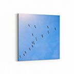 Olla 15871K Gökyüzü Kuşlar Görseli Kare Kanvas Tablo (Ölçü: 100X100)
