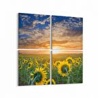 Olla 15916K4 Günbatımı Görseli Kare 4'lü Kanvas Tablo (Ölçü: 65X65)