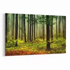 Olla 13271Y Doğa / Manzara Görseli Yatay Kanvas Tablo (Ölçü: 45X30)