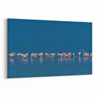 Olla 12685Y Hayvanlar Alemi Görseli Yatay Kanvas Tablo (Ölçü: 30X20)