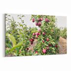 Olla 15079Y Gıda Görseli Yatay Kanvas Tablo (Ölçü: 150X100)