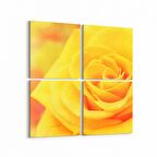 Olla 11592K4 Çiçek Görseli Kare 4'lü Kanvas Tablo (Ölçü: 105X105)