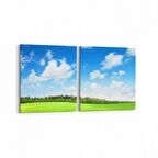 Olla 14615K2Y Doğa / Manzara Görseli Kare 2'li Yatay Kanvas Tablo (Ölçü: 85X40)