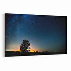 Olla 13731Y Doğa / Manzara Görseli Yatay Kanvas Tablo (Ölçü: 70X50)