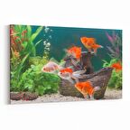 Olla 12138Y Akvaryum / Balık Görseli Yatay Kanvas Tablo (Ölçü: 150X100)