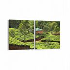 Olla 13341K2Y Doğa / Manzara Görseli Kare 2'li Yatay Kanvas Tablo (Ölçü: 85X40)