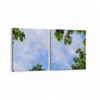 Olla 10862K2Y Ağaç Görseli Kare 2'li Yatay Kanvas Tablo (Ölçü: 65X30)
