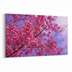 Olla 10895Y Ağaç Görseli Yatay Kanvas Tablo (Ölçü: 70X50)