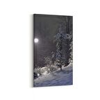 Olla 14217DD Doğa / Manzara Görseli Dikey Dar Kanvas Tablo (Ölçü: 30X60)